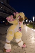 Eurofurence 27