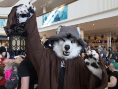 Eurofurence 27