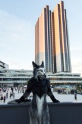 Eurofurence 27