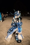 Eurofurence 27