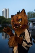 Eurofurence 27