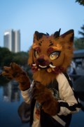 Eurofurence 27