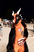 Eurofurence 27