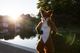 Eurofurence 27