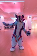 Eurofurence 28