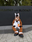 Eurofurence 28