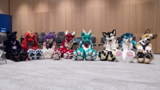 Eurofurence 28