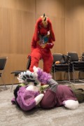 Eurofurence 28