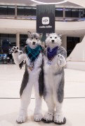 Eurofurence 28