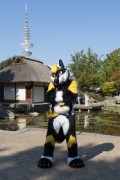 Eurofurence 28