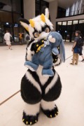 Eurofurence 28