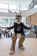 Eurofurence 28