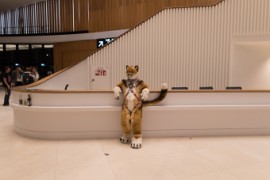 Eurofurence 28