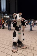 Eurofurence 28