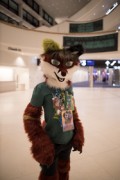 Eurofurence 28