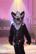 Furry Weekend Holland 2023