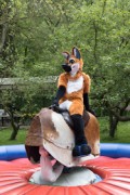 Furry Weekend Holland 2023