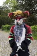 Furry Weekend Holland 2023