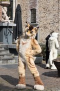 Furry Weekend Holland 2023