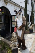 Furry Weekend Holland 2023