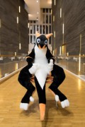 NordicFuzzCon 2024